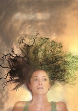 Affiche du spectacle